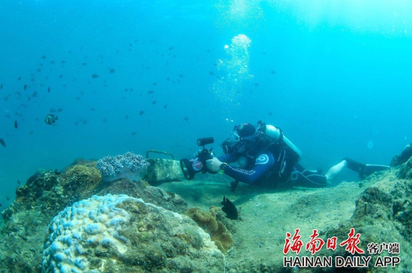 植物大战僵尸：花园战争